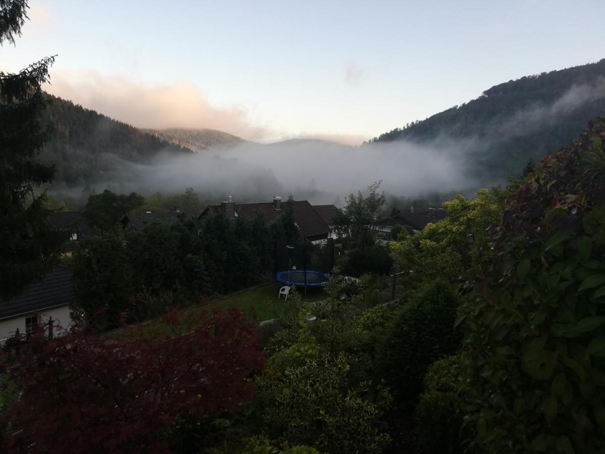 Hills Hut Villa Langelsheim Luaran gambar