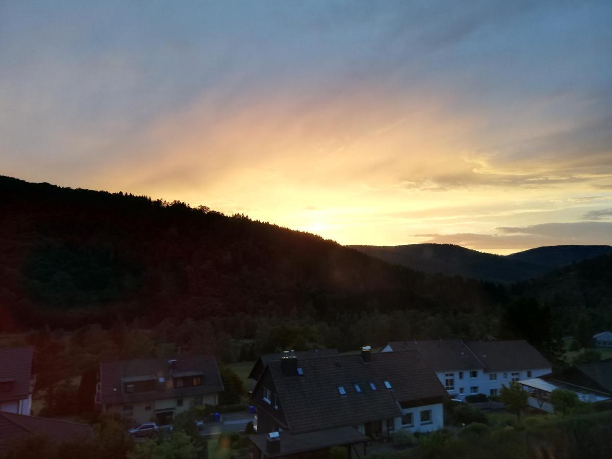 Hills Hut Villa Langelsheim Luaran gambar