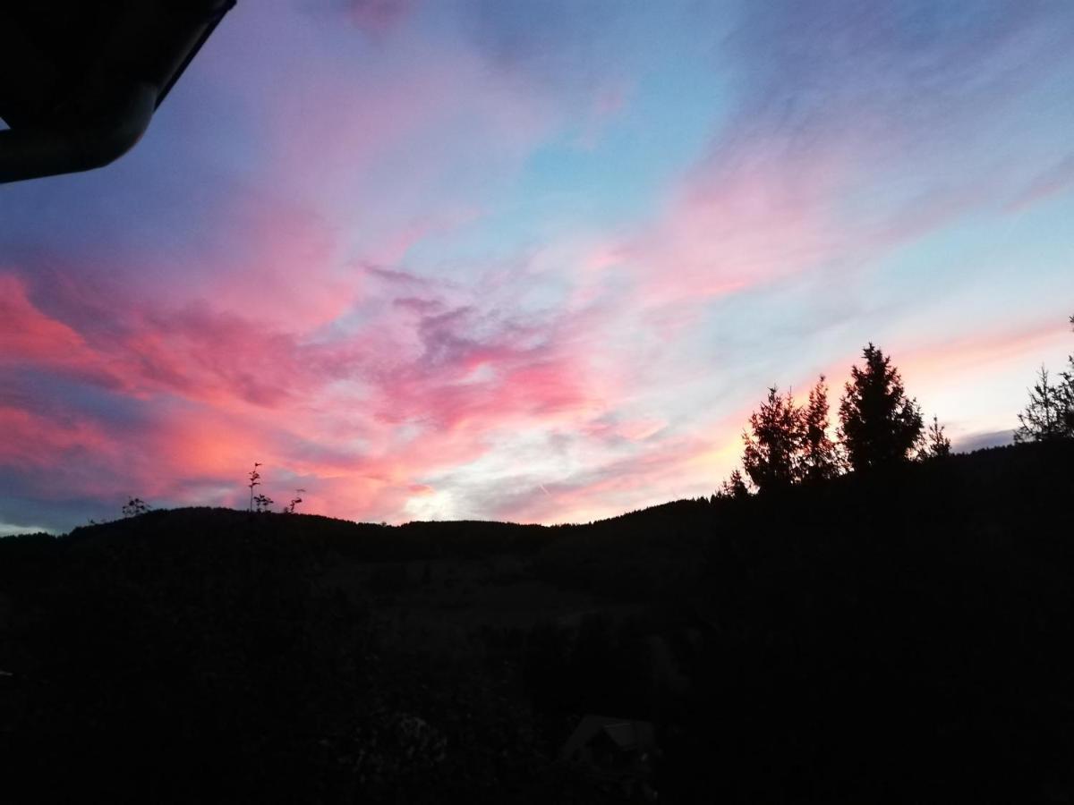 Hills Hut Villa Langelsheim Luaran gambar