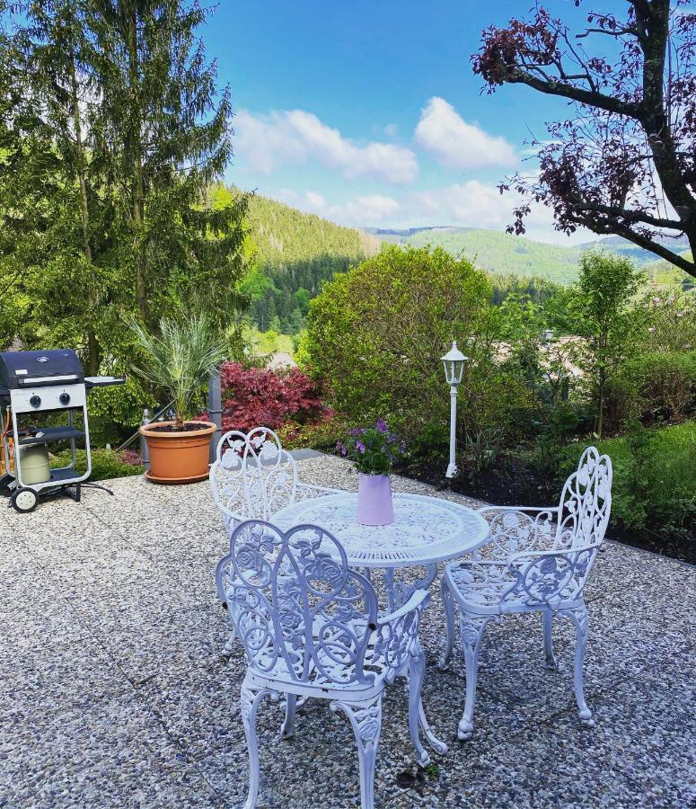 Hills Hut Villa Langelsheim Luaran gambar