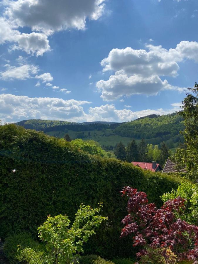 Hills Hut Villa Langelsheim Luaran gambar