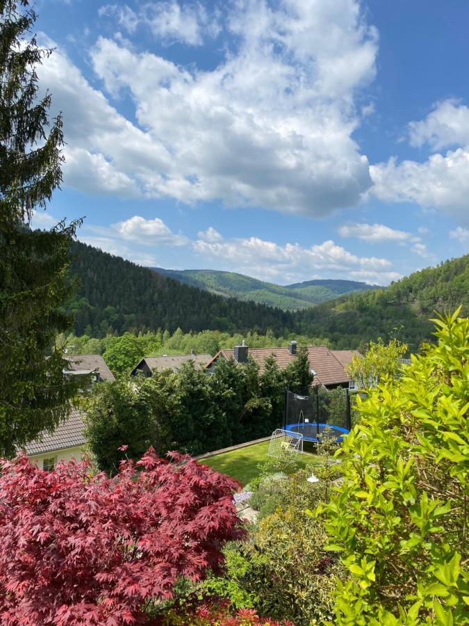 Hills Hut Villa Langelsheim Luaran gambar