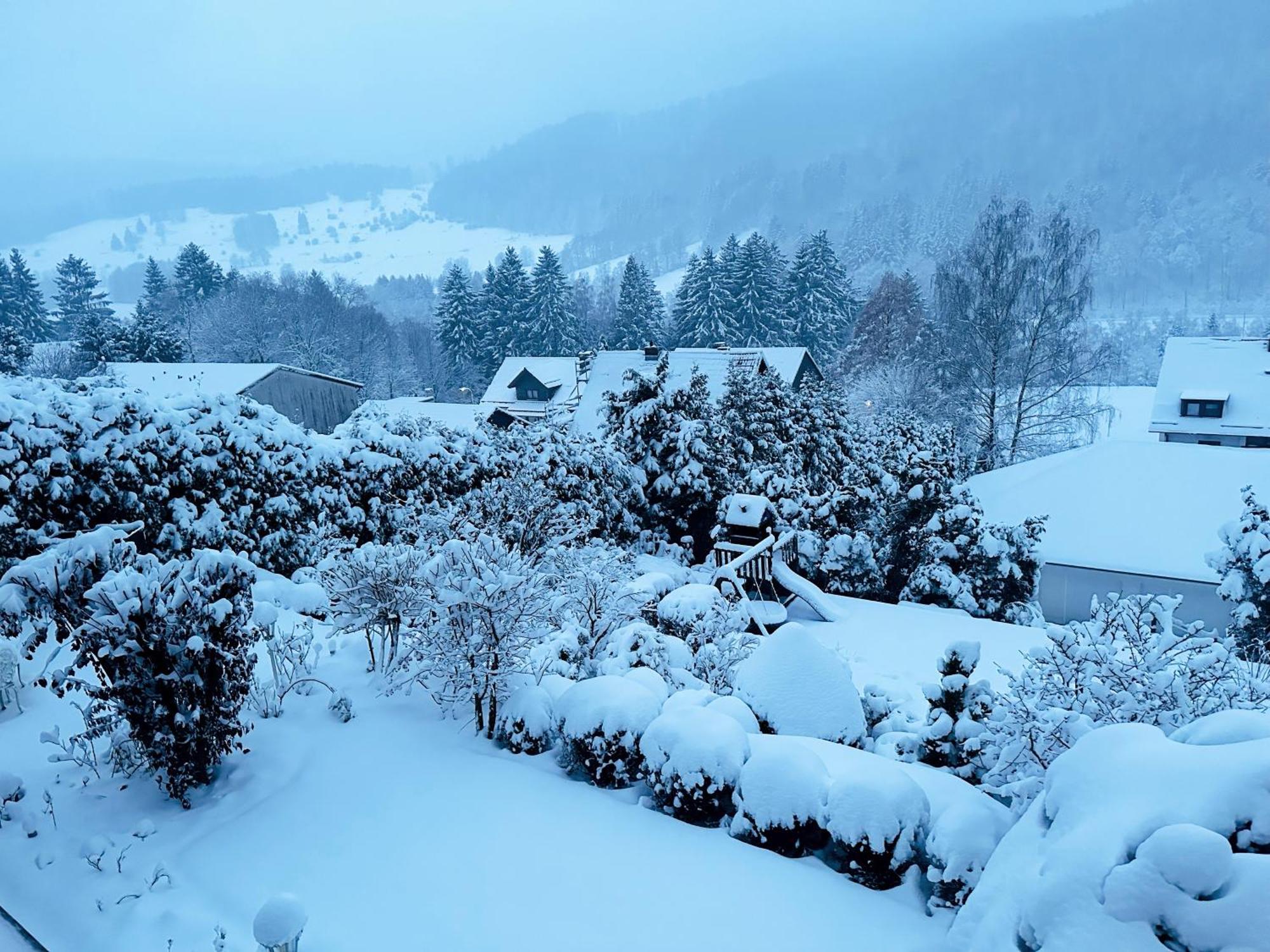 Hills Hut Villa Langelsheim Luaran gambar