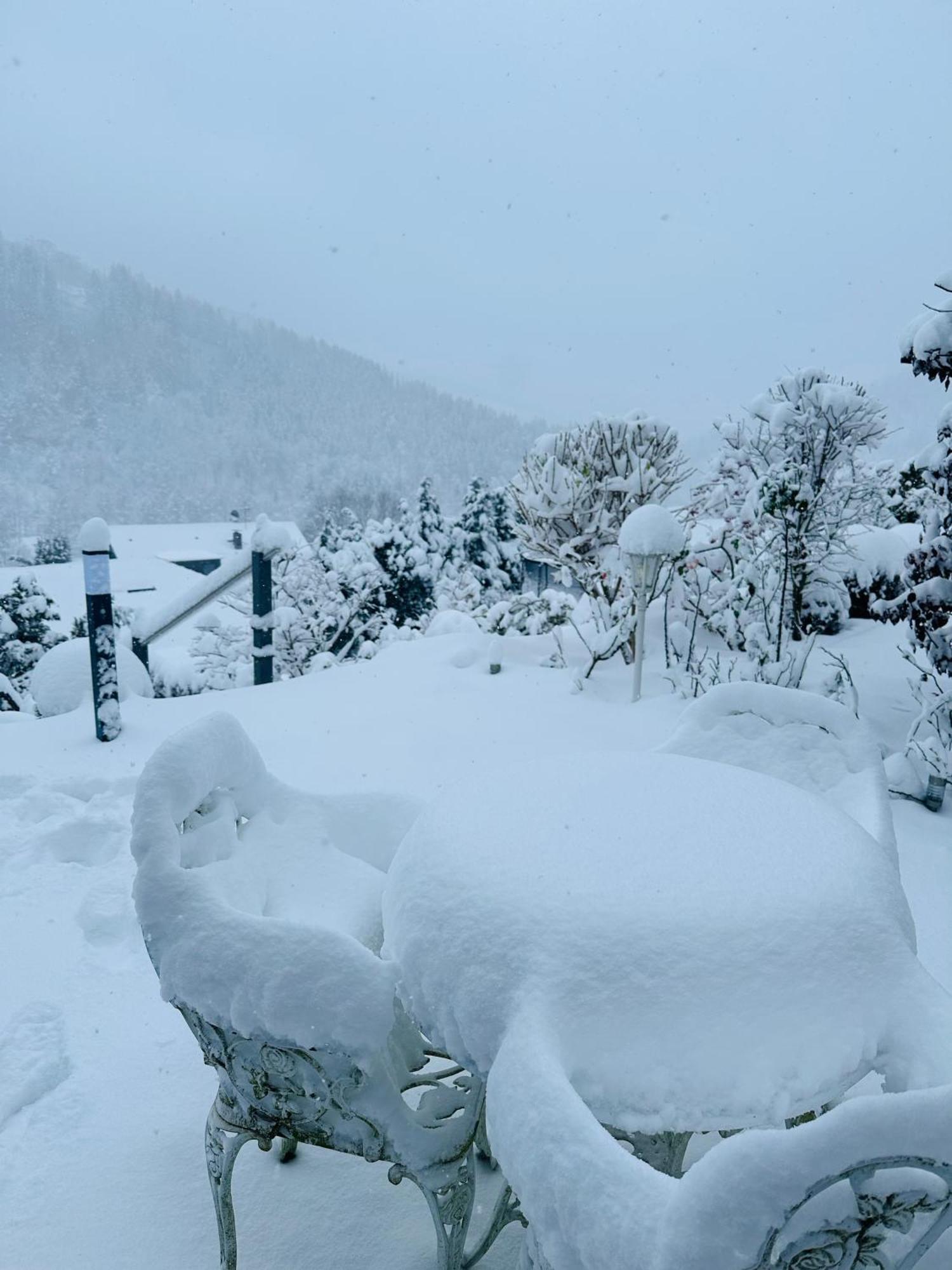 Hills Hut Villa Langelsheim Luaran gambar